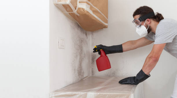 Professional Bathroom Mold Removal technician working in Grantville, PA