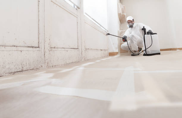 24/7 Emergency Bathroom Mold Removal experts in Grantville, PA