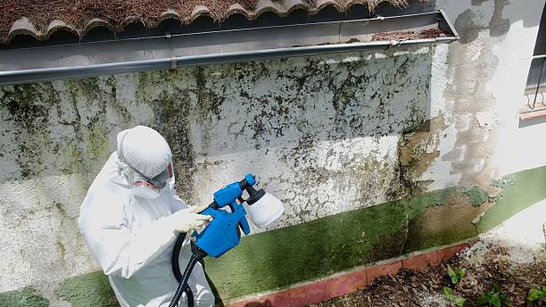 Top rated local Bathroom Mold Removal specialists in Grantville, PA